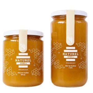Miel de Quillay Naturel 600 grs y 1 Kg.