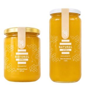 Miel Multifloral Naturel 600 grs y 1 Kg