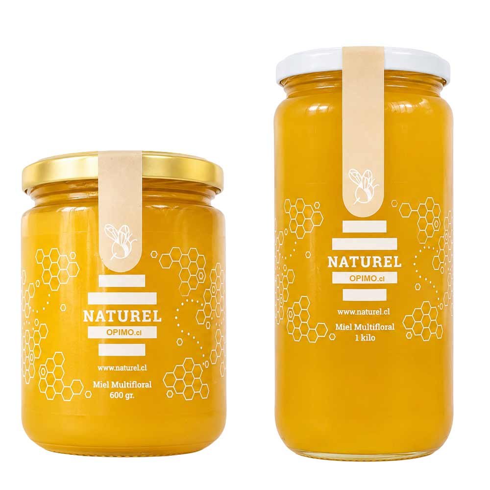 Miel Multifloral Naturel 600 grs y 1 Kg