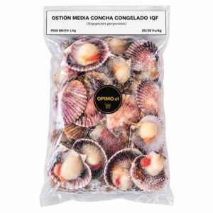 Ostión Media Concha con Coral - 1 Kg.