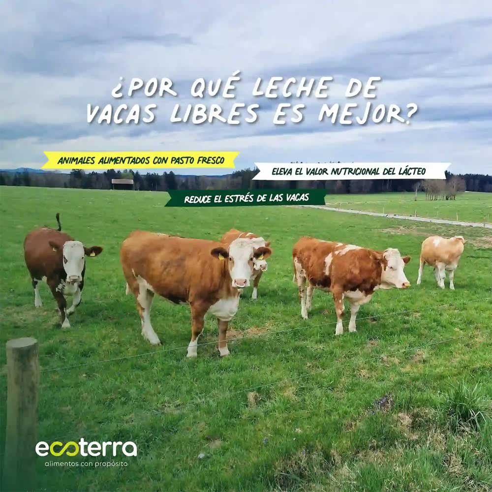 Leche Entera Ecoterra A2 | 1 Litro - Imagen 4